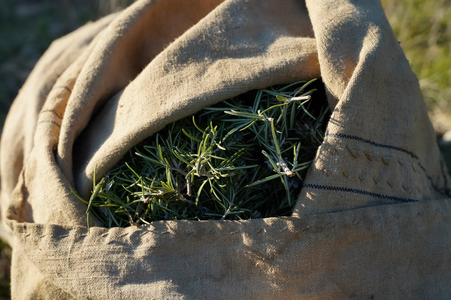 Idrolati