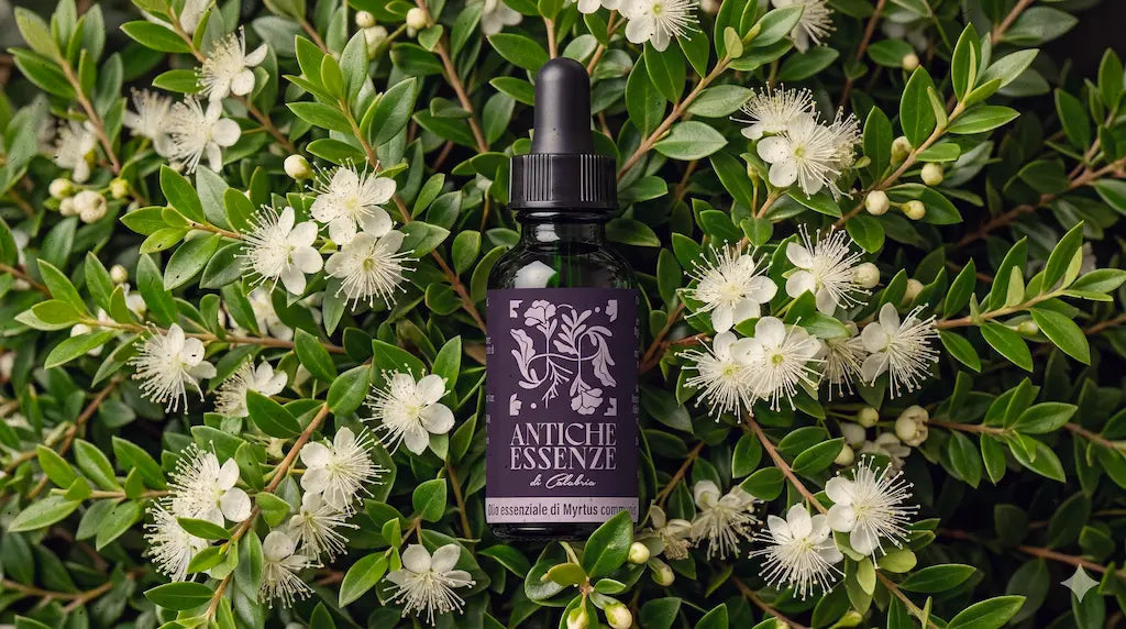 Olio essenziale di Mirto