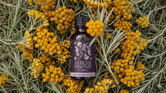 Olio Essenziale di Elicriso