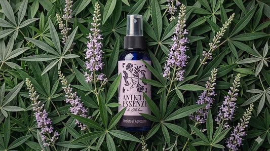 Idrolato di Agnocasto