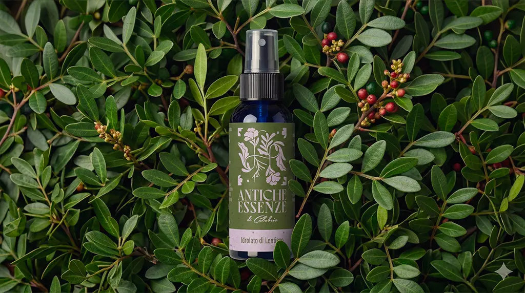 Idrolato di Lentisco