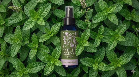 Idrolato di Menta Piperita