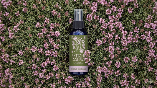 Idrolato di Timo Capitato