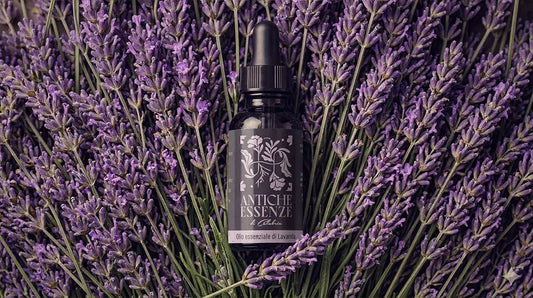 Olio essenziale di Lavanda