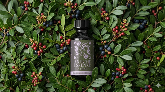 Olio Essenziale di Lentisco