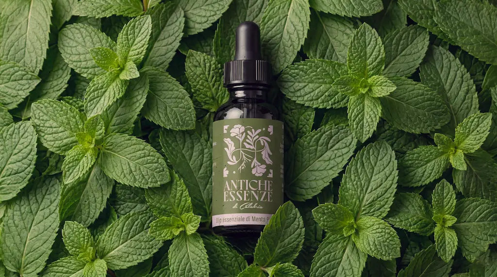 Olio essenziale di Menta Piperita